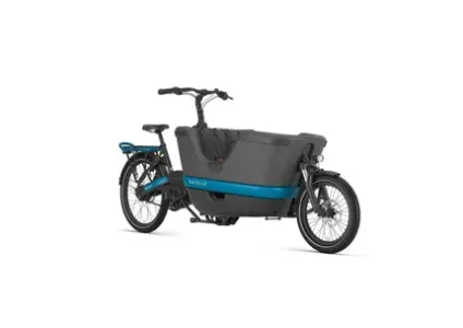 Beste bakfiets gordels: veiligheid voorop bij elke rit 