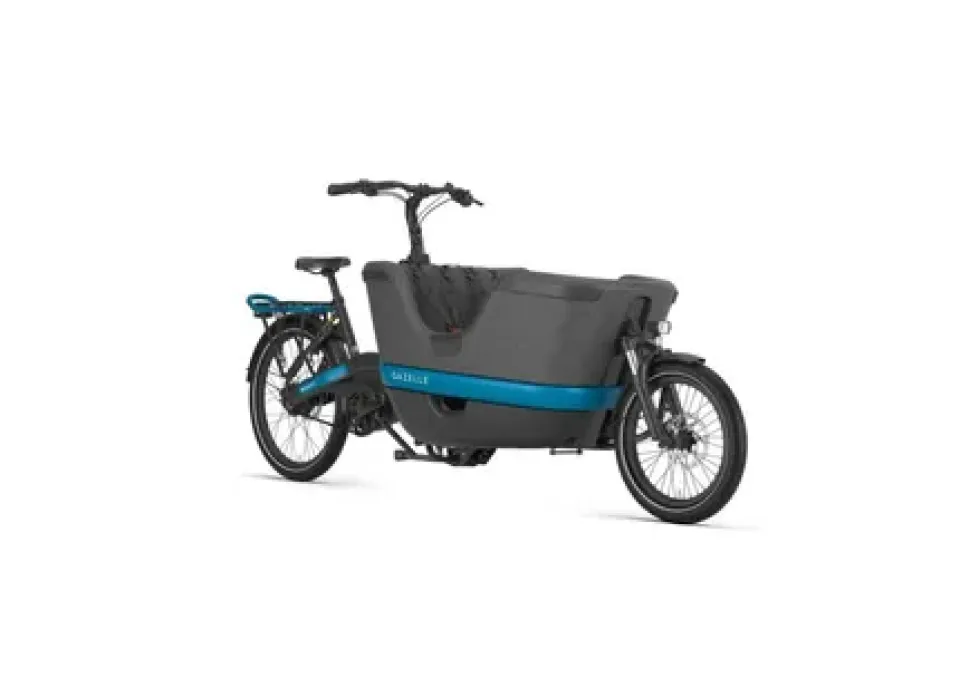 Beste bakfiets gordels: veiligheid voorop bij elke rit 